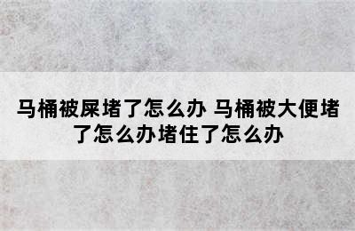 马桶被屎堵了怎么办 马桶被大便堵了怎么办堵住了怎么办